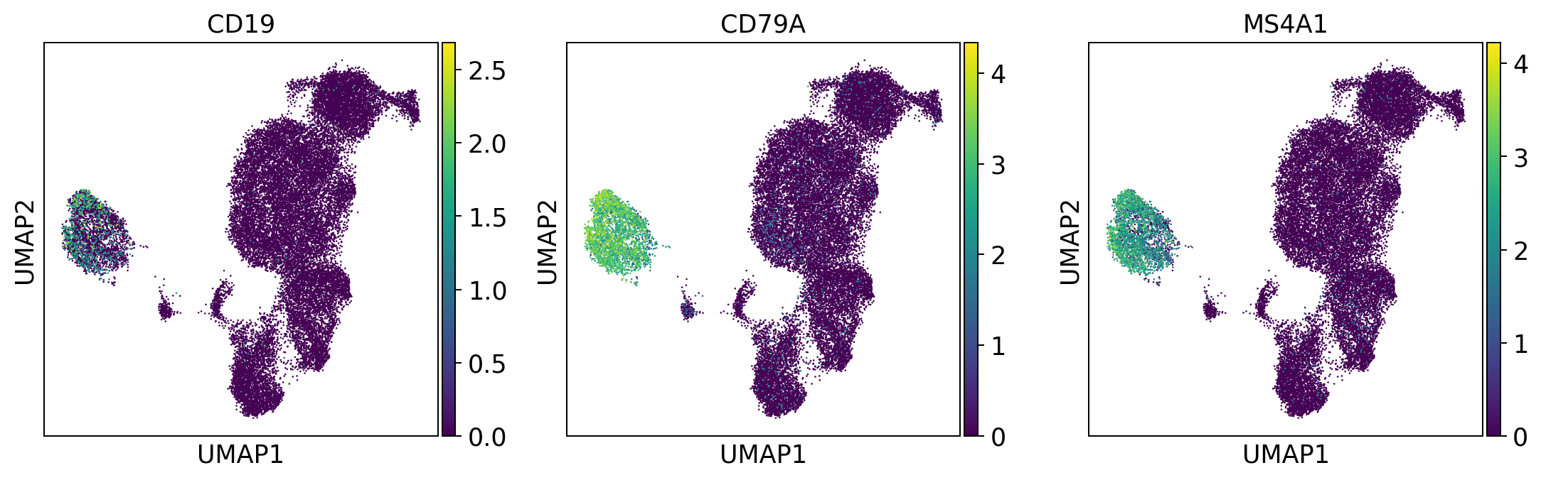 ../_images/tutorials_notebook2_celltype_annotation_12_0.png
