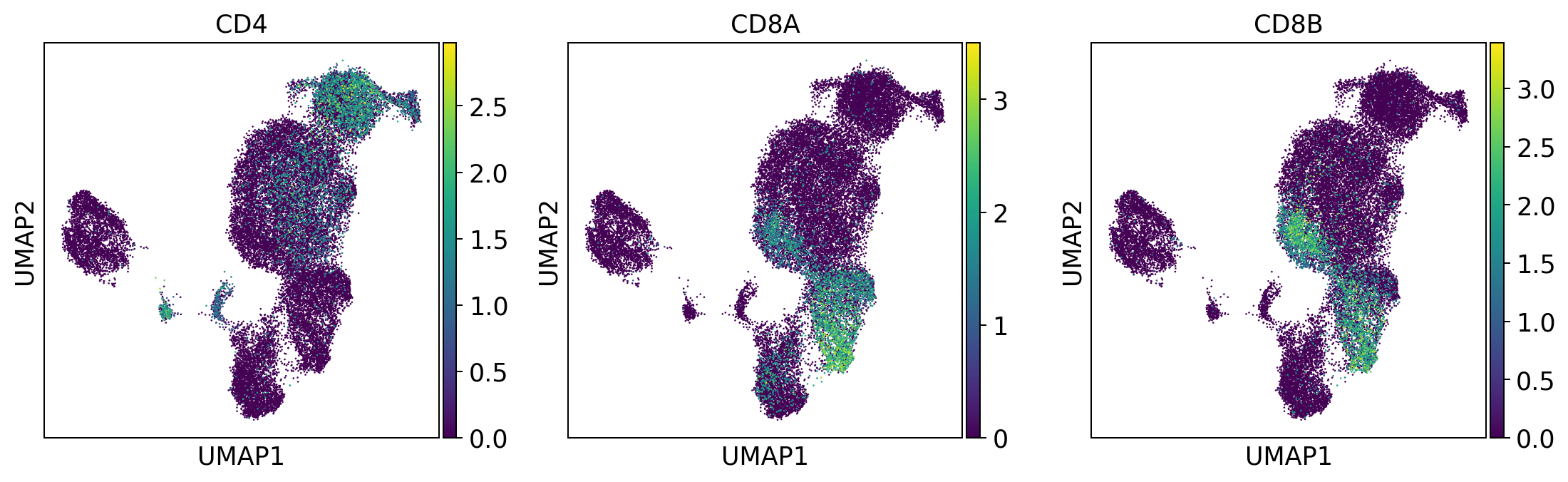 ../_images/tutorials_notebook2_celltype_annotation_12_2.png