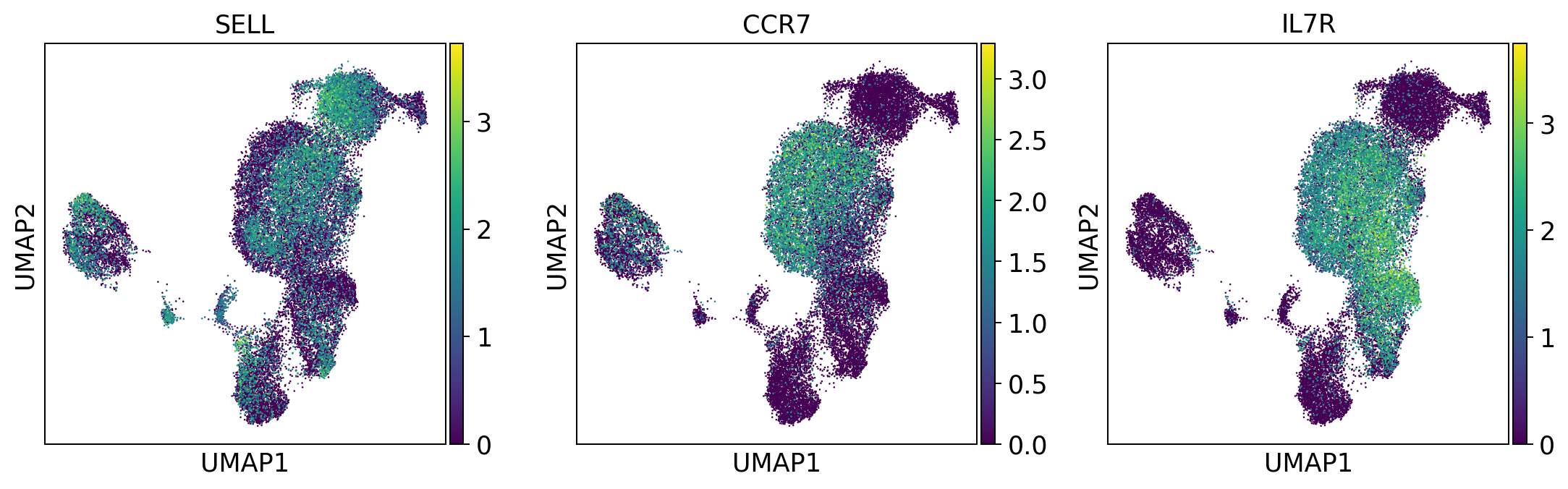 ../_images/tutorials_notebook2_celltype_annotation_12_3.png