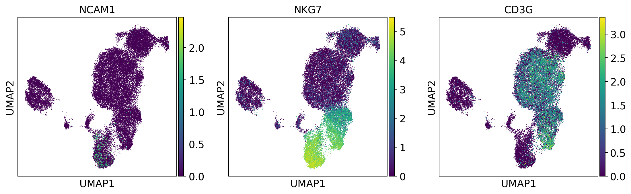 ../_images/tutorials_notebook2_celltype_annotation_12_4.png