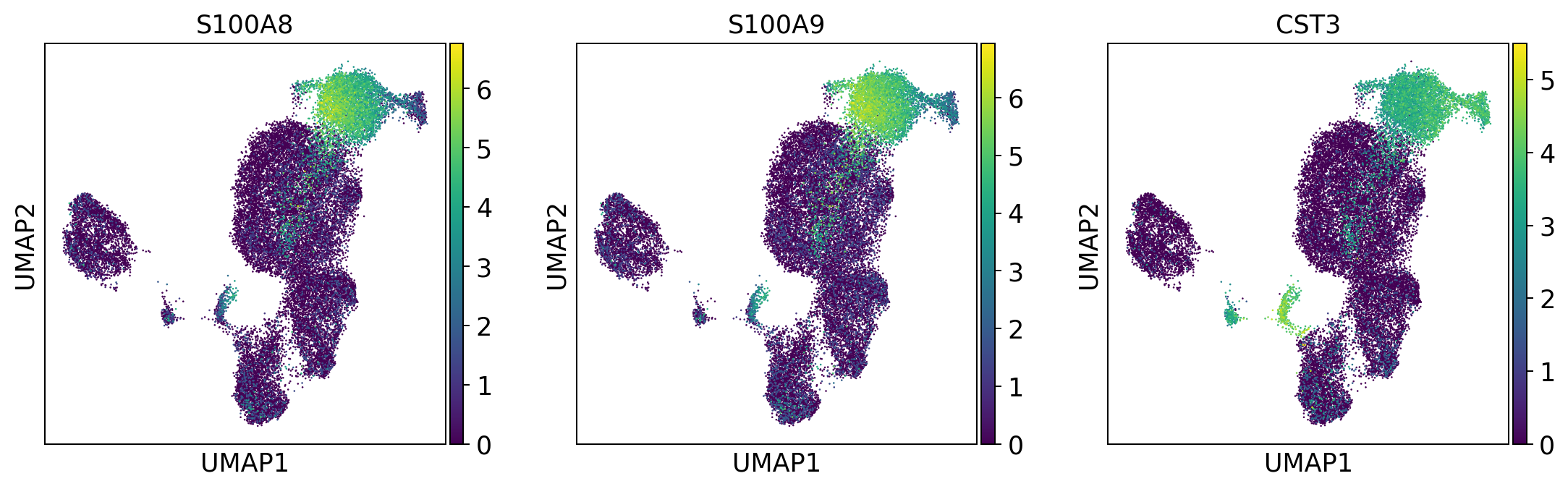 ../_images/tutorials_notebook2_celltype_annotation_12_5.png
