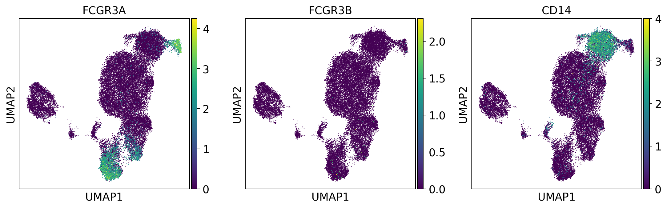 ../_images/tutorials_notebook2_celltype_annotation_12_6.png