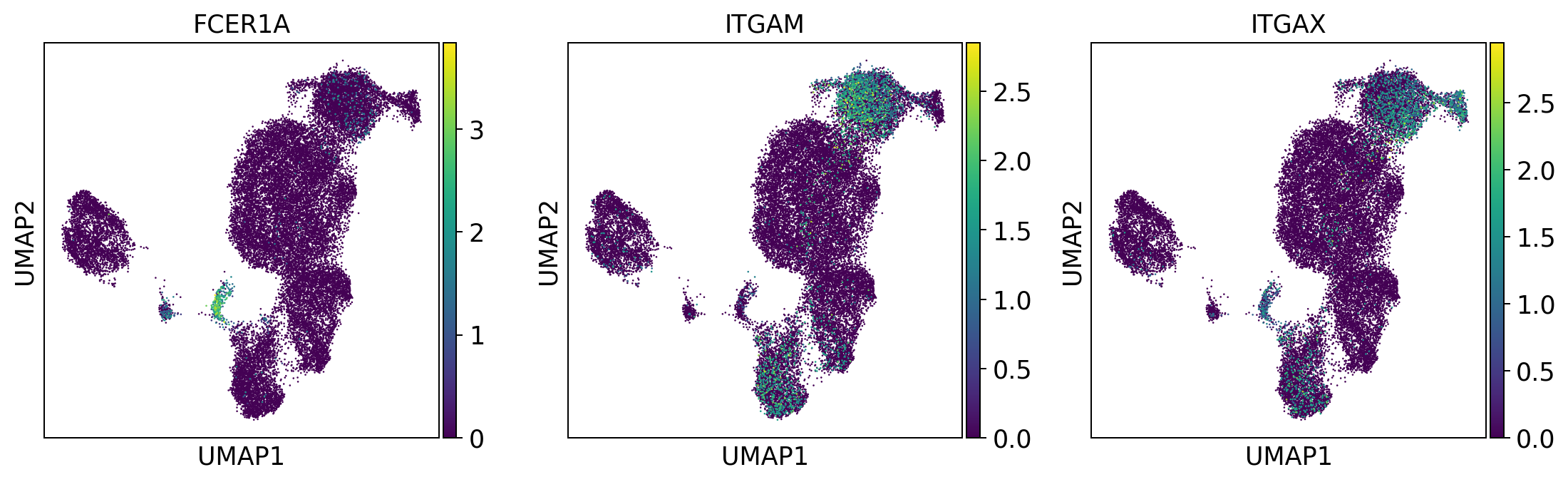 ../_images/tutorials_notebook2_celltype_annotation_12_7.png