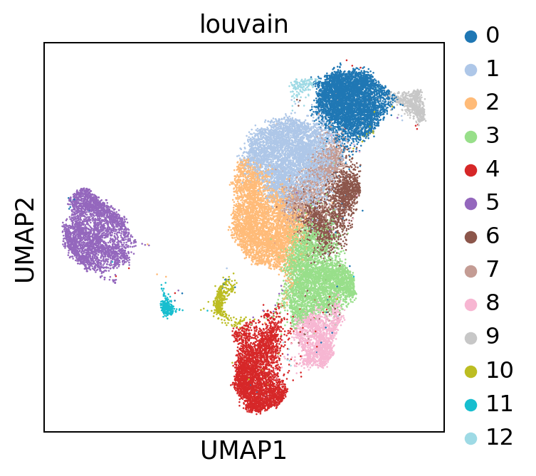 ../_images/tutorials_notebook2_celltype_annotation_14_0.png