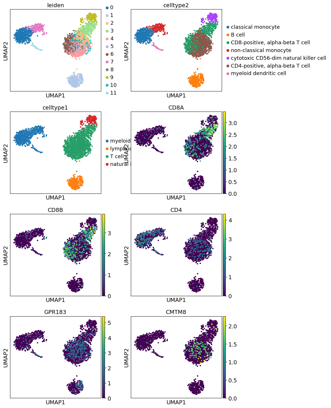 notebook 2 - celltype annotation and beyond — BESCA 2.4 documentation